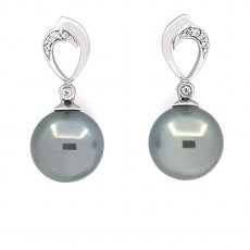 Sterling Silber Ohrringe und 2 Runde TahitiPerlen B/C 10.4 mm