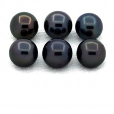 Lot von 6 Runde TahitiPerlen C/D von 7.5 bis 7.8 mm