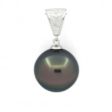 Ciondolo in Argento e 1 Perla di Tahiti Semi-Baroccha C 14.6 mm