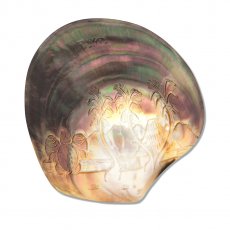 Madreperla di Tahiti Incisa - 11.7 x 11.3 cm
