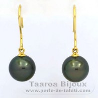 Orecchini in Oro 18K e 2 Perle di Tahiti Rotonda B 9.2 mm