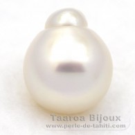 Perla de Australia Semi-Barocca B 15 mm