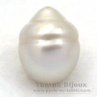 Perla de Australia Cerchiate AA 15.1 mm