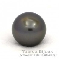 Perla di Tahiti Rotonda C 14.6 mm