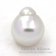 Perla de Australia Semi-Barocca B 16.2 mm