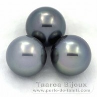 Lotto di 3 Perle di Tahiti Rotonda C di 13 a 13.1 mm