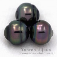 Lotto di 3 Perle di Tahiti Cerchiate C di 10.1 a 10.2 mm