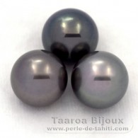 Lotto di 3 Perle di Tahiti Rotonda C di 11.6 a 11.9 mm