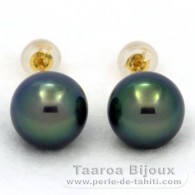 Orecchini in Oro 18K e 2 Perle di Tahiti Rotonda C+ 9.9 mm
