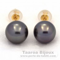 Orecchini in Oro 18K e 2 Perle di Tahiti Rotonda B 8.2 mm
