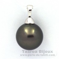Ciondolo in Argento e 1 Perla di Tahiti Rotonda C 12.2 mm