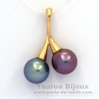 Ciondolo in Oro 18K e 2 Perle di Tahiti Rotonda B+ 10.2 mm
