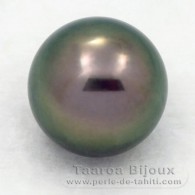 Perla di Tahiti Rotonda C 13.9 mm