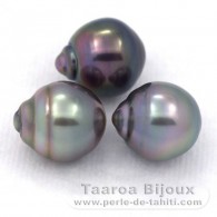 Lotto di 3 Perle di Tahiti Cerchiate B di 9.5 a 9.8 mm