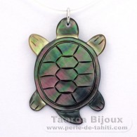 Tartaruga in Madreperla - Regalo offerto a partire da 400 d'acquisto