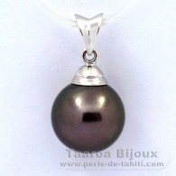 Ciondolo in Argento e 1 Perla di Tahiti Rotonda C 11 mm