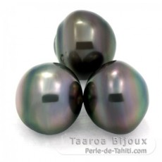 Lotto di 3 Perle di Tahiti Cerchiate C di 12.6 a 12.9 mm