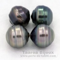 Lotto di 4 Perle di Tahiti Cerchiate C di 9.5 a 9.8 mm
