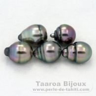 Lotto di 5 Perle di Tahiti Cerchiate B di 8.6 a 8.8 mm