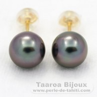 Orecchini in Oro 18K e 2 Perle di Tahiti Rotonda A 8.1 mm