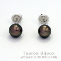 Orecchini in Argento e 2 Perle di Tahiti Rotonda C 8.2 mm