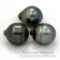 Lotto di 3 Perle di Tahiti Cerchiate C di 12.6 a 12.7 mm