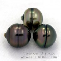 Lotto di 3 Perle di Tahiti Cerchiate B di 10 a 10.2 mm
