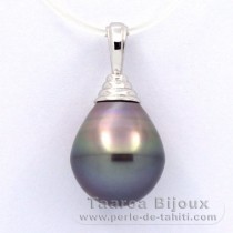 Ciondolo in Argento e 1 Perla di Tahiti Cerchiate B 12.5 mm