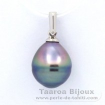 Ciondolo in Argento e 1 Perla di Tahiti Cerchiate C 10.1 mm