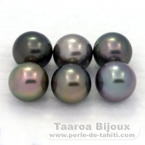Lotto di 6 Perle di Tahiti Rotonda C di 8.2 a 8.4 mm