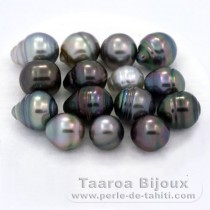 Lotto di 15 Perle di Tahiti Cerchiate C di 8 a 9.9 mm