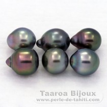 Lotto di 6 Perle di Tahiti Semi-Barocche B di 7.7 a 8.3 mm