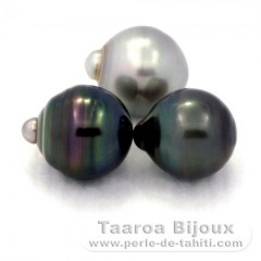 Lotto di 3 Perle di Tahiti Cerchiate C di 12.4 a 12.8 mm