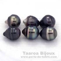 Lotto di 6 Perle di Tahiti Cerchiate C di 8.5 a 8.7 mm