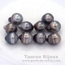 Lotto di 10 Perle di Tahiti Cerchiate C di 8 a 8.2 mm