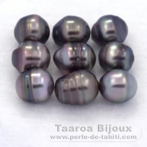 Lotto di 9 Perle di Tahiti Cerchiate C di 8 a 8.4 mm