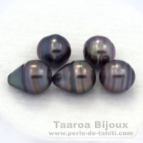 Lotto di 5 Perle di Tahiti Cerchiate C di 9.6 a 9.8 mm