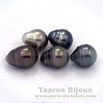 Lotto di 5 Perle di Tahiti Cerchiate C di 9.5 a 9.6 mm
