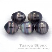 Lotto di 5 Perle di Tahiti Cerchiate C di 9.5 a 10 mm