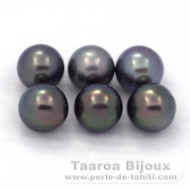 Lotto di 6 Perle di Tahiti Rotonda C di 8.5 a 8.8 mm