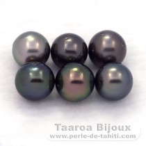 Lotto di 6 Perle di Tahiti Rotonda D di 8.1 a 8.4 mm