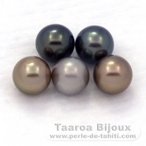 Lotto di 5 Perle di Tahiti Rotonda C di 8.1 a 8.4 mm