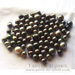 Lotto di 87 Perle di Tahiti Semi-Barroca C/D di 8 a 12.5 mm