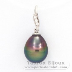 Ciondolo in Argento e 1 Perla di Tahiti Cerchiate B 9.9 mm