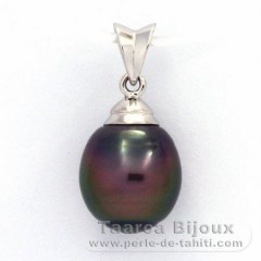 Ciondolo in Argento e 1 Perla di Tahiti Cerchiate B 10.1 mm