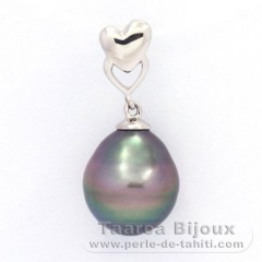 Ciondolo in Argento e 1 Perla di Tahiti Cerchiate B 10 mm