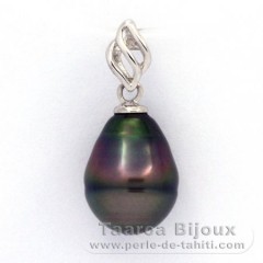 Ciondolo in Argento e 1 Perla di Tahiti Cerchiate C 10.2 mm