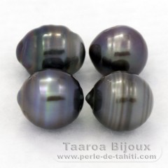 Lotto di 4 Perle di Tahiti Cerchiate C/D di 9.5 a 9.8 mm