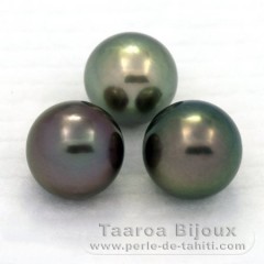 Lotto di 3 Perle di Tahiti Rotonda C di 11.1 a 11.4 mm