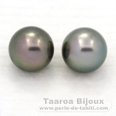 Lotto di 2 Perle di Tahiti Rotonda C 11.3 mm